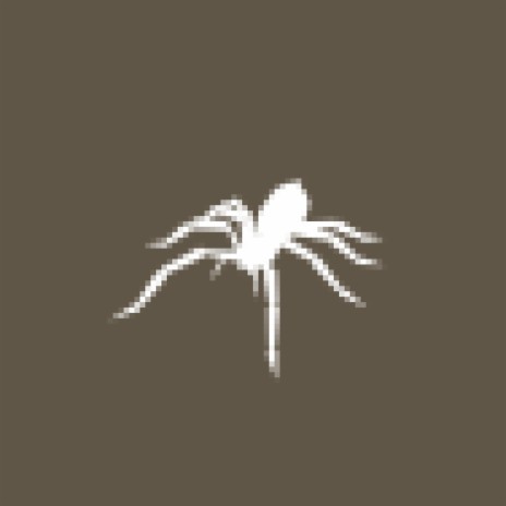 spider | Boomplay Music