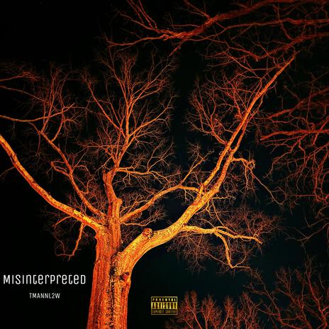 MISINTERPRETED | Boomplay Music