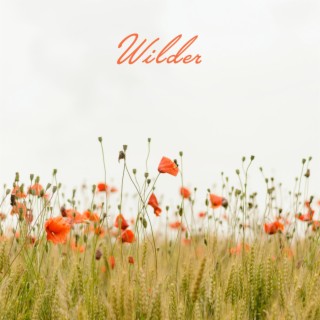Wilder lyrics | Boomplay Music