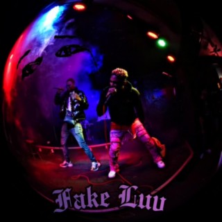 Fake Luv ft. Yung Ziggy lyrics | Boomplay Music
