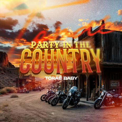 Party In The Country | Boomplay Music