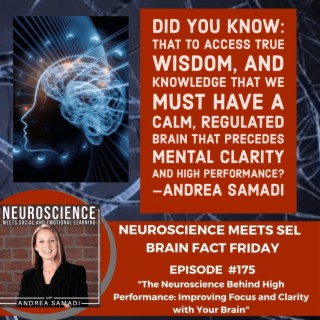 Brain Fact Friday on ”The Neuroscience of High Performance: Improving Focus and Clarity”