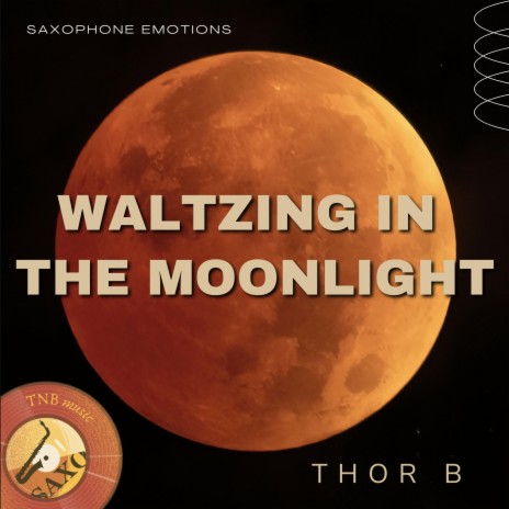Waltzing In The Moonlight | Boomplay Music
