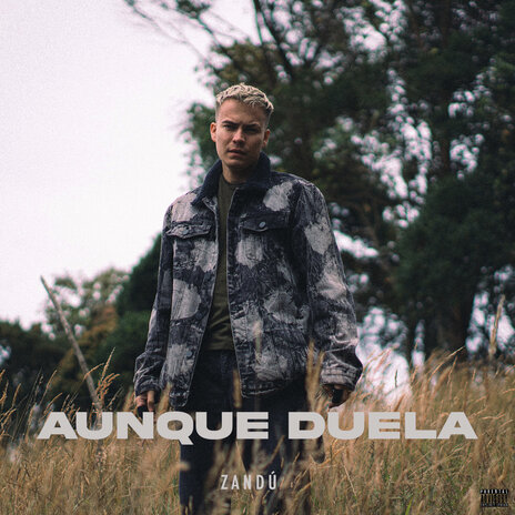 Aunque Duela | Boomplay Music