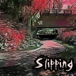 Slipping lyrics | Boomplay Music