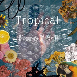 Tropical House Y Chill