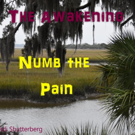 Numb the Pain | Boomplay Music