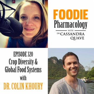 Crop Diversity & Global Food Systems with Dr. Colin Khoury