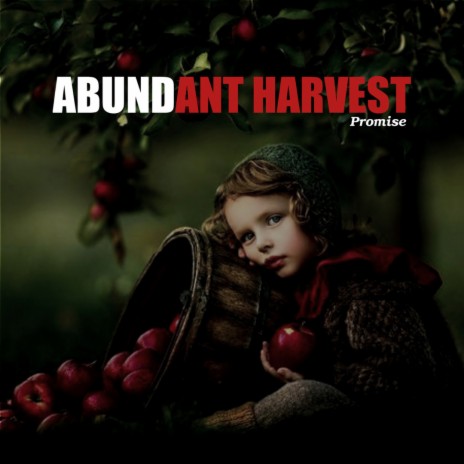 Abundant Harvest | Boomplay Music