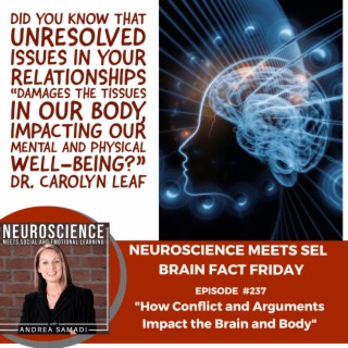 Brain Fact Friday on ”How Conflict and Arguments Impact the Brain and Body”