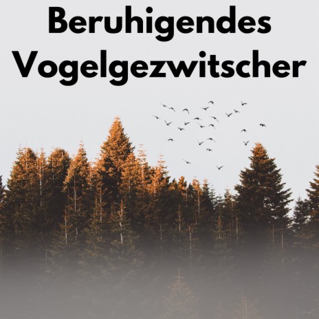 Vogelgezwitscher-serenade ft. Vogelstimmen Sammlung & Vogelgezwitscherbox | Boomplay Music