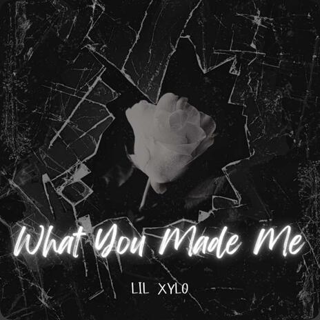 What You Made Me! | Boomplay Music