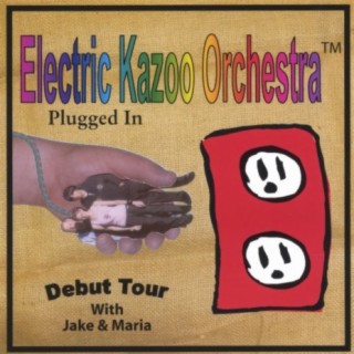 Electric Kazoo Orchestra