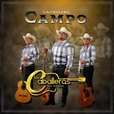 La Vida Del Campo | Boomplay Music