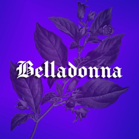 Belladonna | Boomplay Music