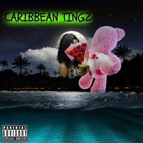 Caribbean Tingz | Boomplay Music