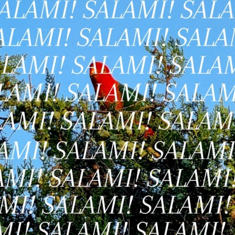 SALAMI! ft. Lo.mrrk | Boomplay Music