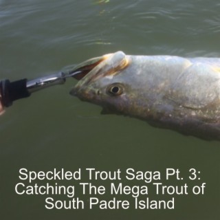 Speckled Trout Saga Pt. 3: Catching The Mega Trout of South Padre Island