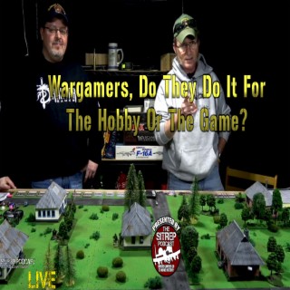 Wargamers, do they do it for the hobby or the game?