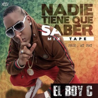 Nadie Tiene Que Saber