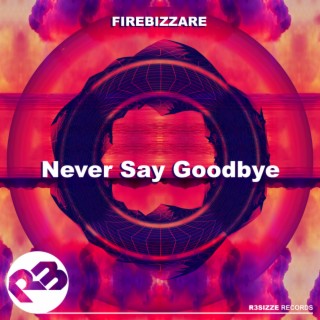 Never Say Goodbye