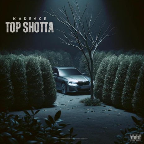 Top Shotta | Boomplay Music
