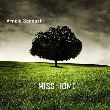 I miss home | Boomplay Music