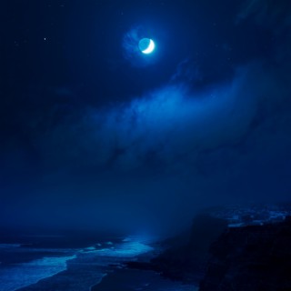 Blue Night