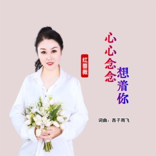 心心念念想着你（女版）