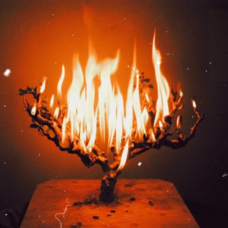 BURNING BUSH ft. Protagonist lyrics | Boomplay Music