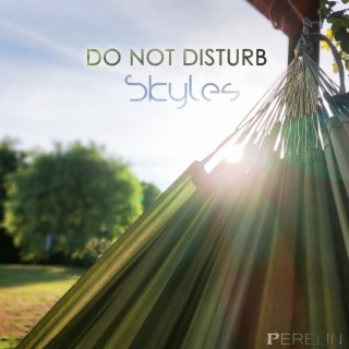 Do Not Disturb