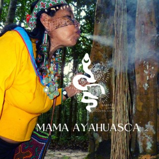 SLL S3: Mama Ayahuasca