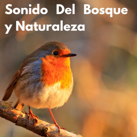 Pajaros Tropicales ft. Sonidos De Pajaros | Boomplay Music