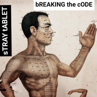 Breaking The Code