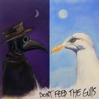 The Gulls