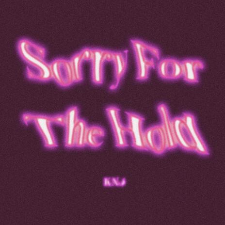 Sorry For The Hold | Boomplay Music