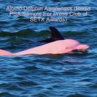 Albino Dolphin Awareness (Radio PSA Sample For Press Club of Southeast Texas Awards)
