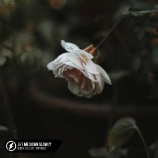 Let Me Down Slowly ft. lost. & Pop Mage lyrics | Boomplay Music