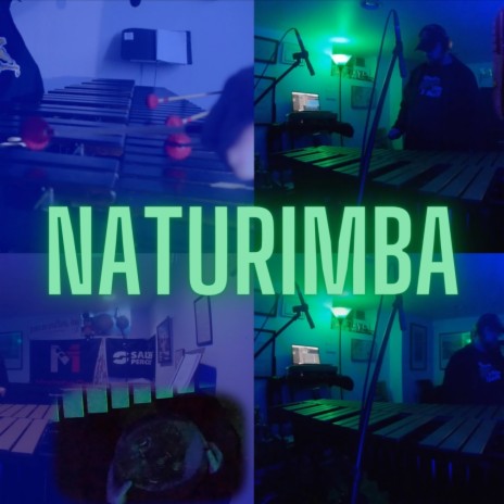 Naturimba ft. Rob van der Made