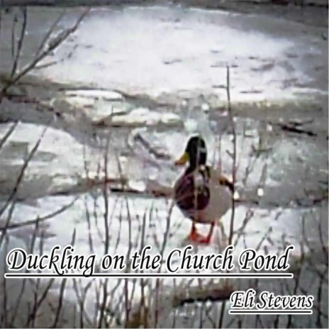 Duckling On the Church Pond | Boomplay Music