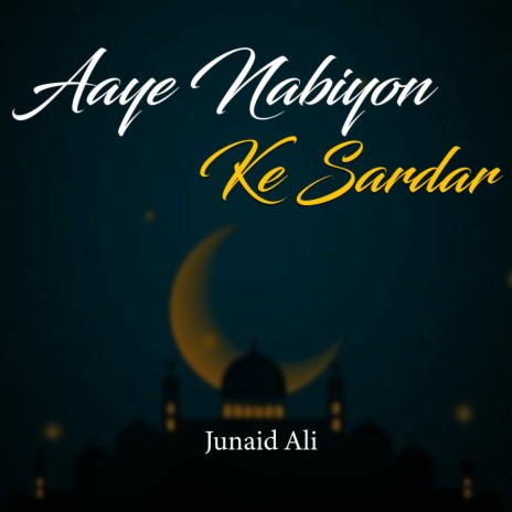 Aaye Nabiyon Ke Sardar | Boomplay Music