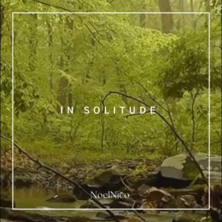 In Solitude