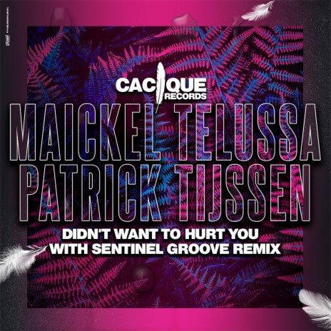 Didn't Want to Hurt You (Sentinel Groove Remix) ft. Patrick Tijssen | Boomplay Music