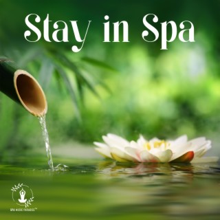 Stay in Spa: Healthy Eating, Balance of the Body, Improving Life, Beauty Salon, Massage Techniques
