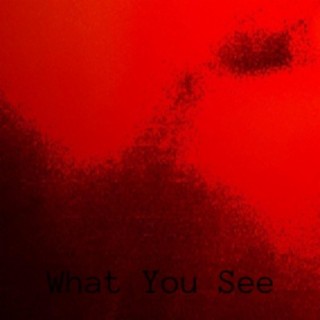 What You See