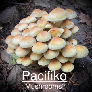 Mushrooms?