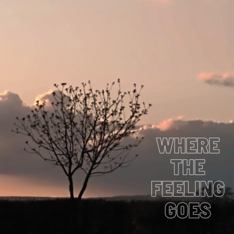 Where The Feeling Goes | Boomplay Music