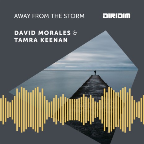 Away from the storm (DIRIDIM Mix) ft. Tamra Keenan | Boomplay Music
