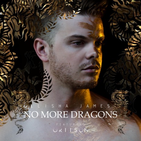 No More Dragons (feat. Oriison) | Boomplay Music