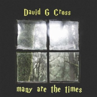 David G Cross